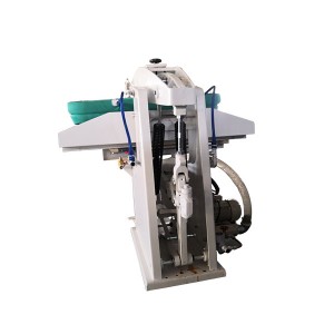 Hot New Products Dry Cleaning Press - press machine – Taifeng
